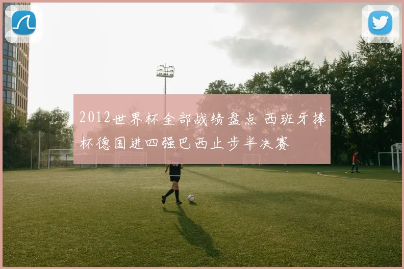 2012世界杯全部战绩盘点 西班牙捧杯德国进四强巴西止步半决赛