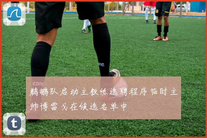 鹈鹕队启动主教练选聘程序临时主帅博雷戈在候选名单中