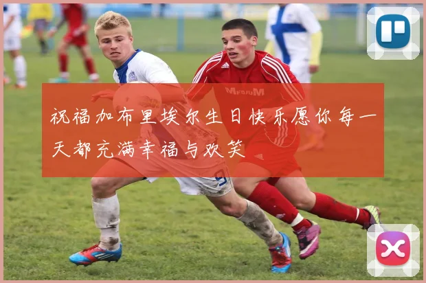 祝福加布里埃尔生日快乐愿你每一天都充满幸福与欢笑
