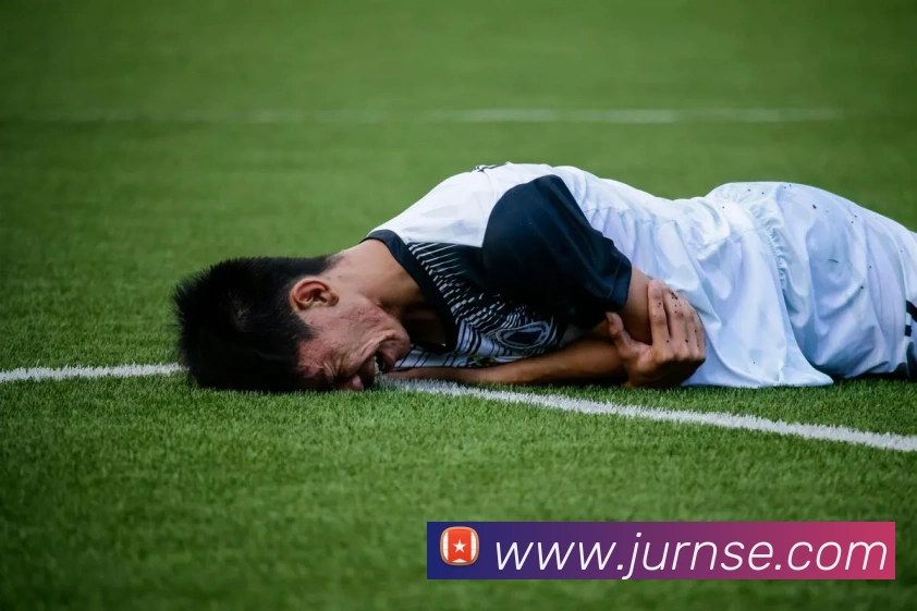 九游体育官方平台平台生态图